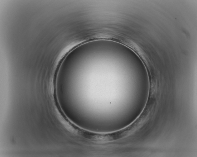 X0000113220795200909171554