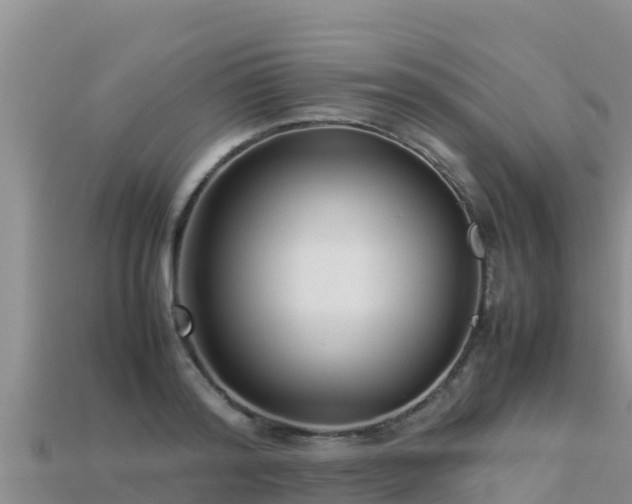 X0000113220796200909171554