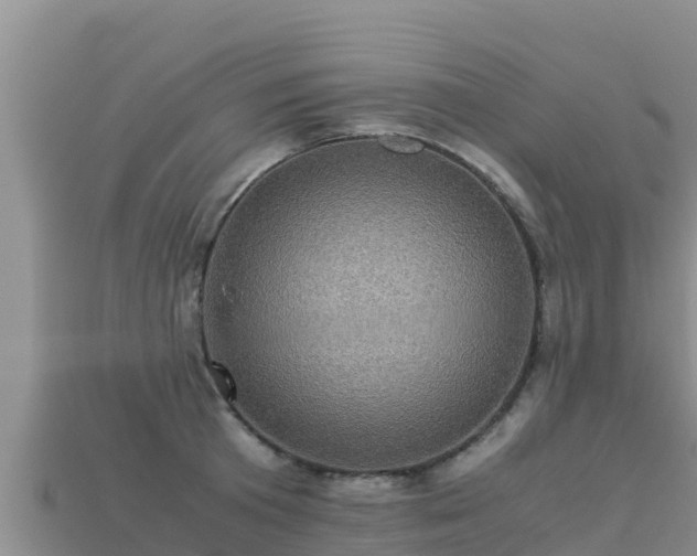 X0000113220801200909171554