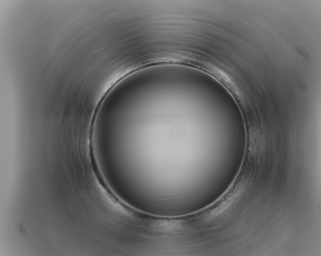 X0000113220802200909171554