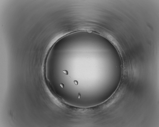 X0000113220803200909171554