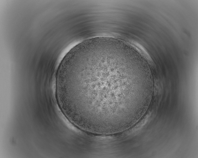 X0000113220804200909171554