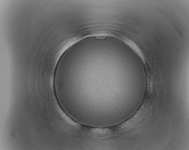 X0000113220805200909171554