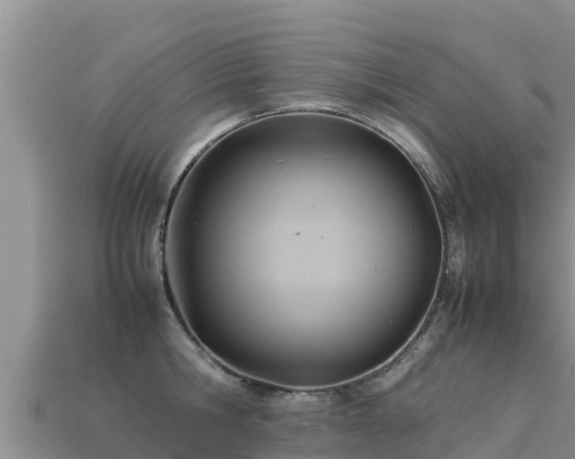 X0000113220806200909171554