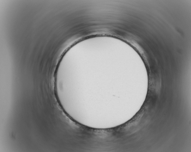 X0000113220807200909171554