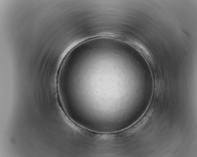 X0000113220808200909171554