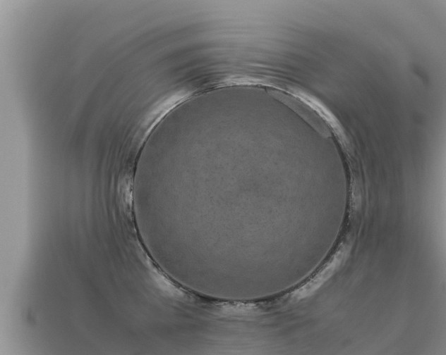 X0000113220809200909171554