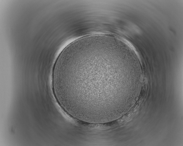 X0000113220811200909171553