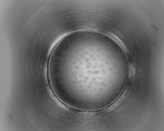 X0000113220812200909171553