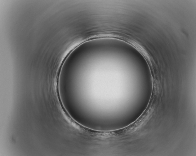 X0000113220813200909171553