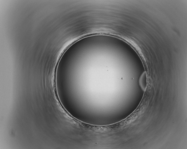 X0000113220815200909171553