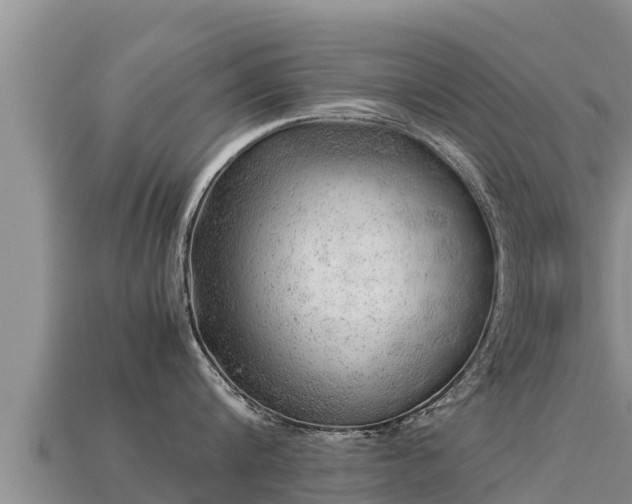 X0000113220816200909171553