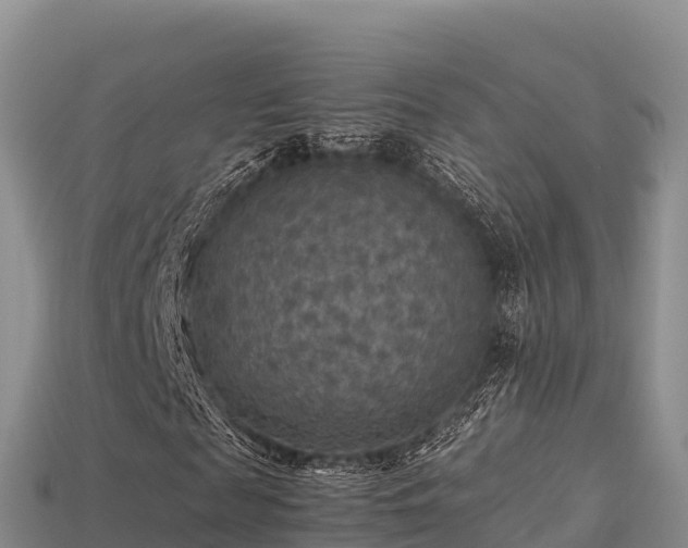 X0000113220817200909171553