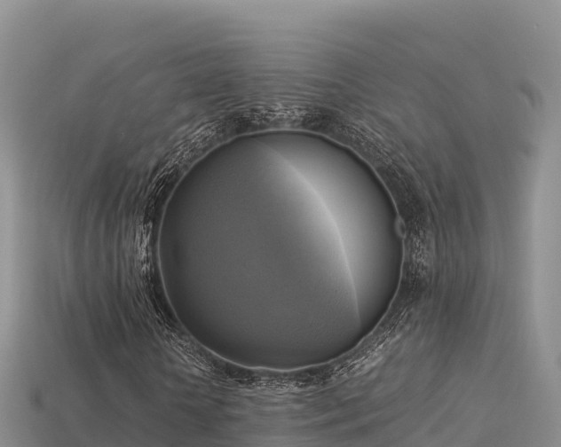 X0000113220818200909171553