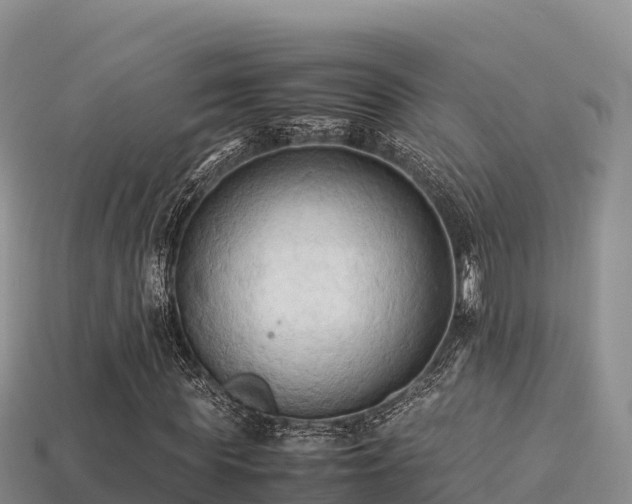 X0000113220819200909171553