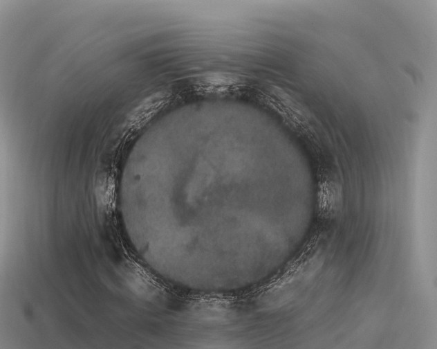 X0000113220820200909171553