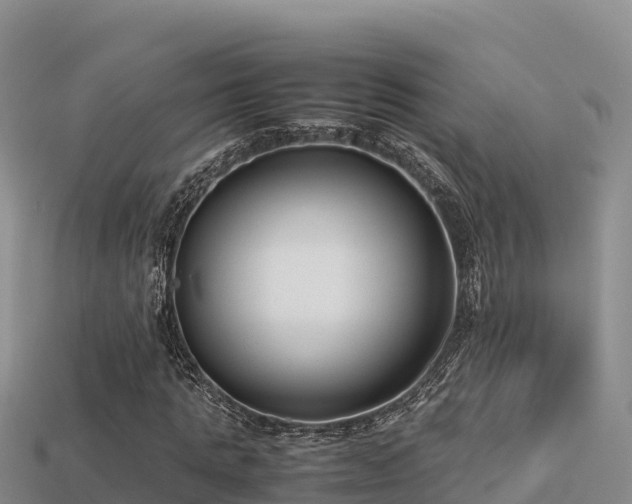 X0000113220821200909171553