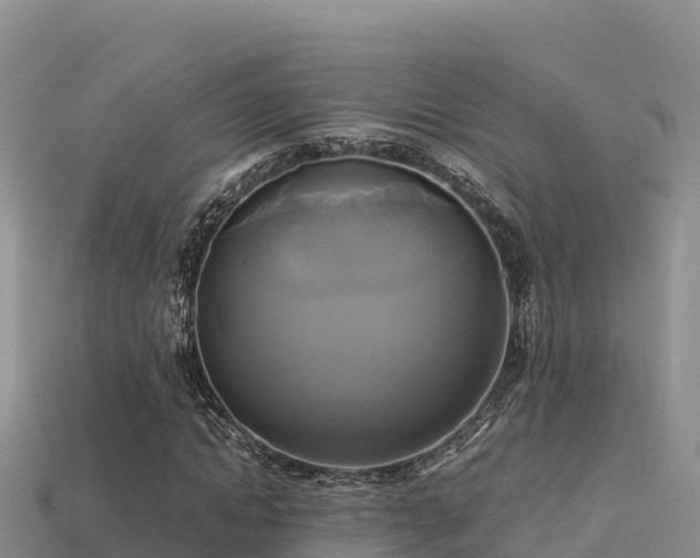 X0000113220822200909171553