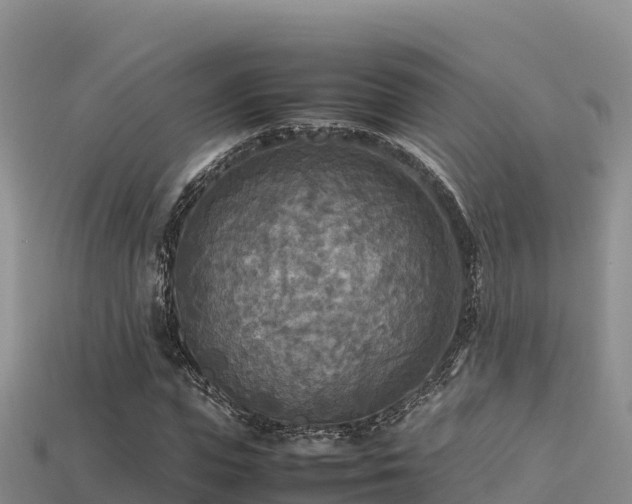 X0000113220823200909171553