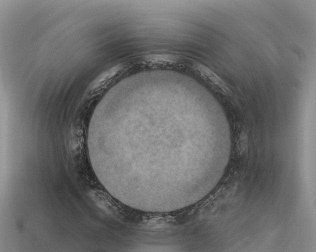 X0000113220824200909171553