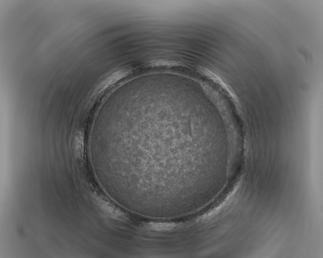 X0000113220825200909171553