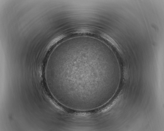 X0000113220826200909171553