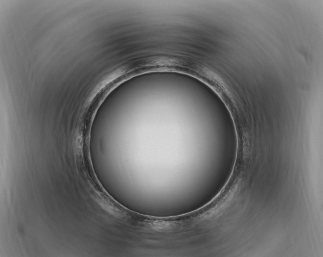 X0000113220827200909171553