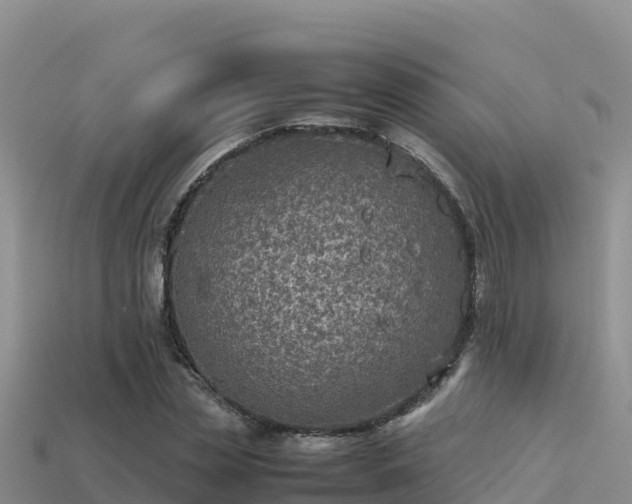 X0000113220829200909171553