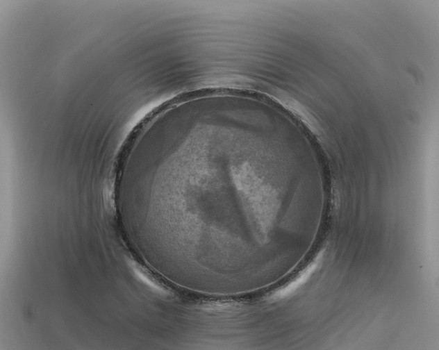 X0000113220830200909171553