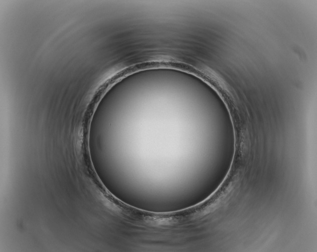 X0000113220831200909171553