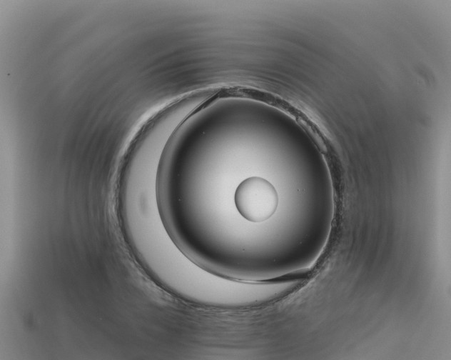 X0000113220832200909171553