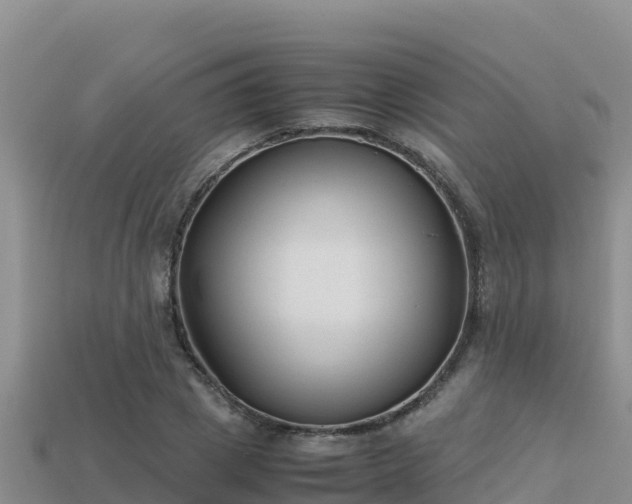 X0000113220833200909171553