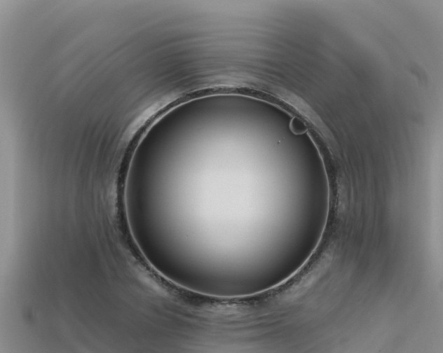 X0000113220834200909171553