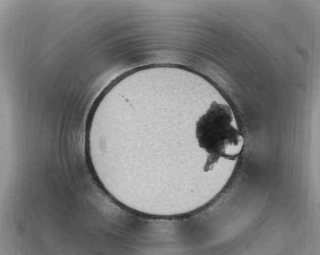 X0000113220836200909171553