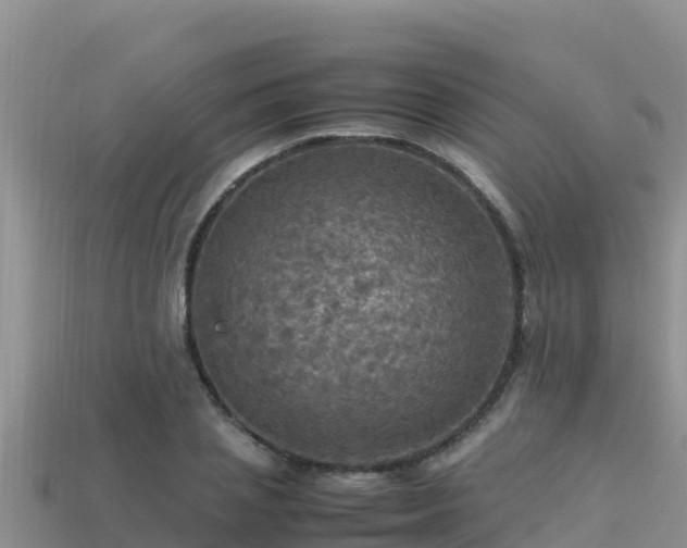 X0000113220837200909171553