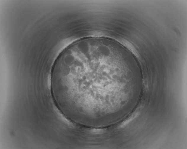 X0000113220839200909171553