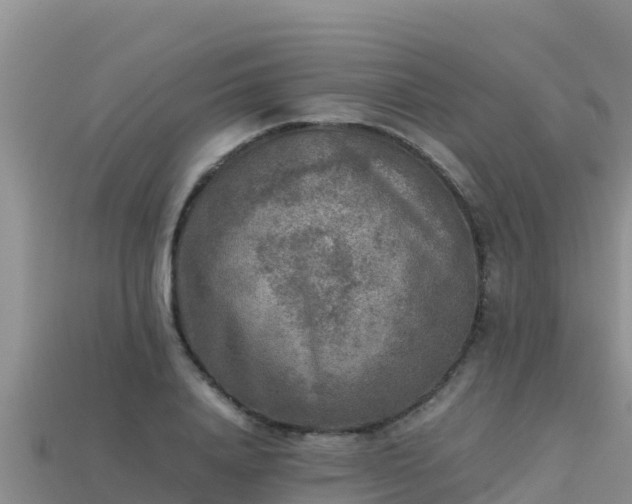 X0000113220840200909171553