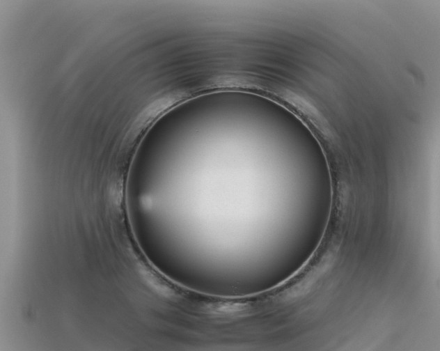 X0000113220841200909171553