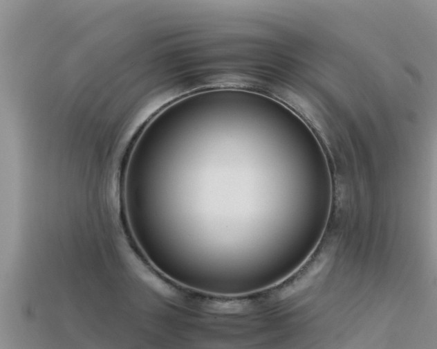 X0000113220843200909171553