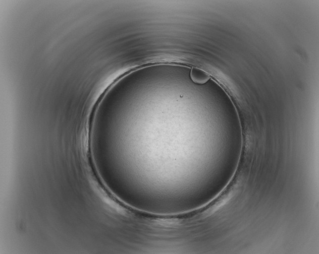 X0000113220844200909171553