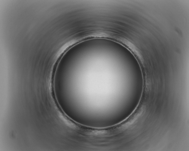 X0000113220845200909171553