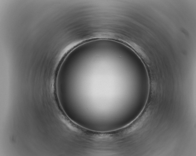 X0000113220846200909171553