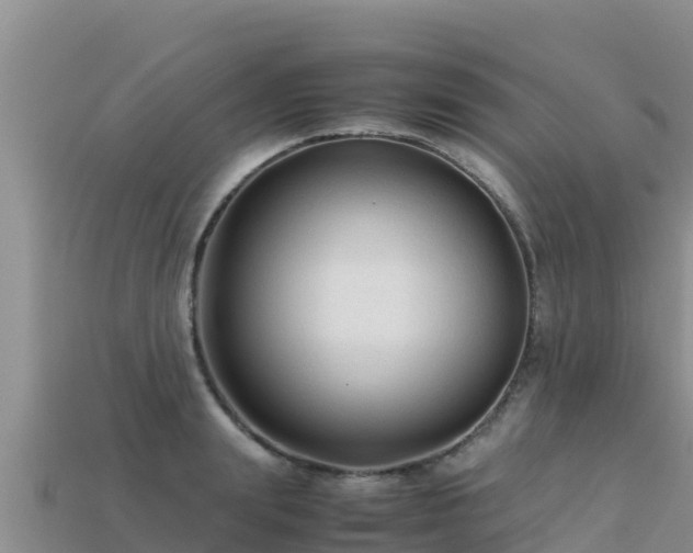 X0000113220847200909171553