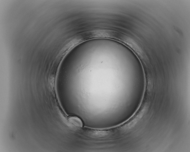 X0000113220849200909171553