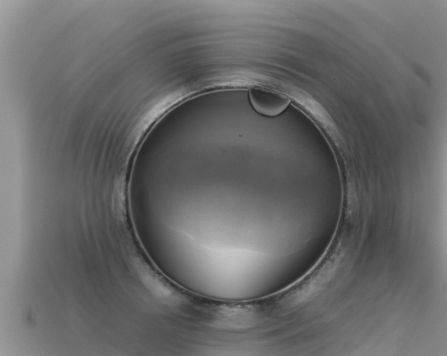 X0000113220850200909171553