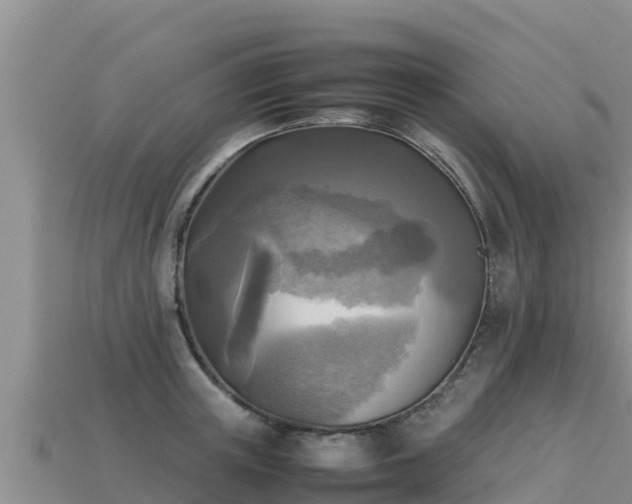 X0000113220851200909171553