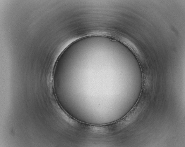 X0000113220852200909171553