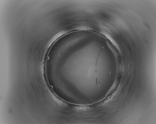 X0000113220853200909171553