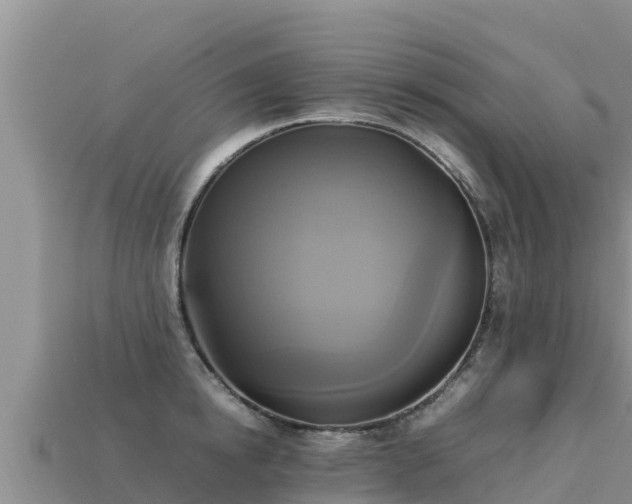 X0000113220854200909171553