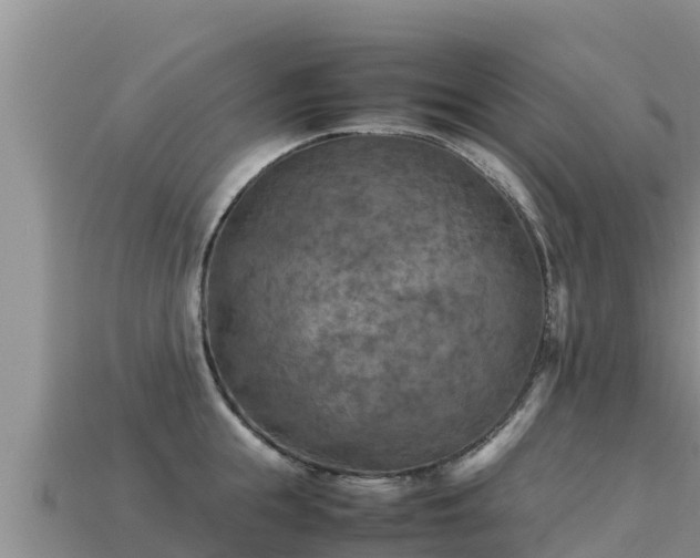 X0000113220855200909171553